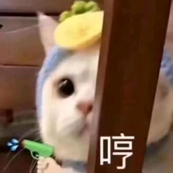 四月头像