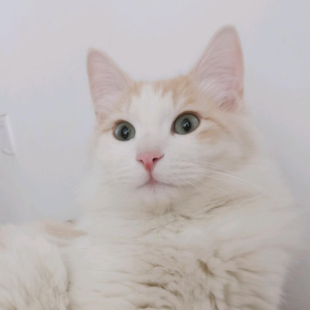 我想静静。。。