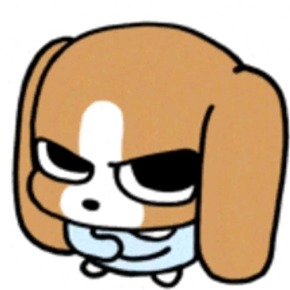 张晶晶晶晶