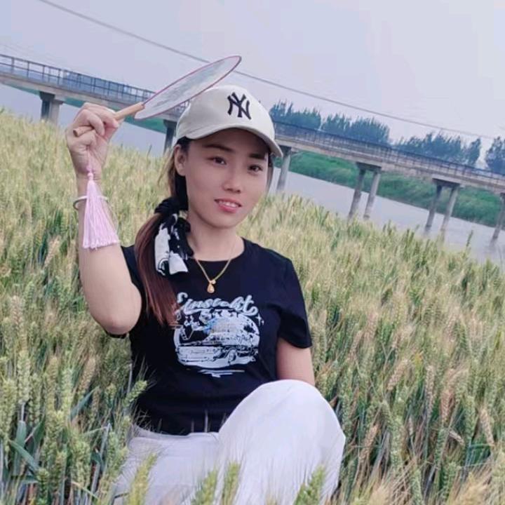 山东田姐.