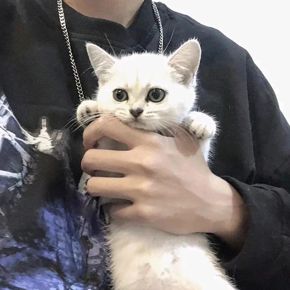 我
