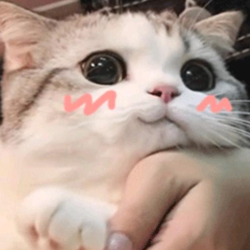 加载中（接2月世界线）