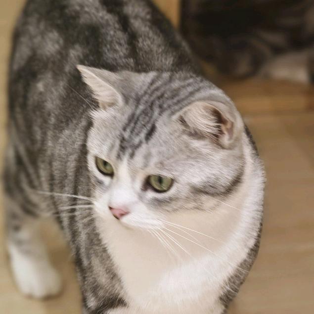 额么么么么么么么