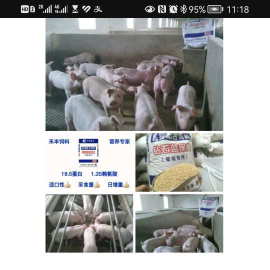 卖禾丰饲料