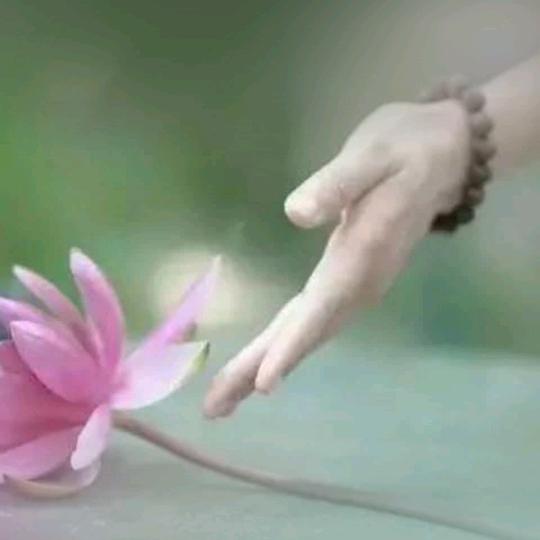 静一姐