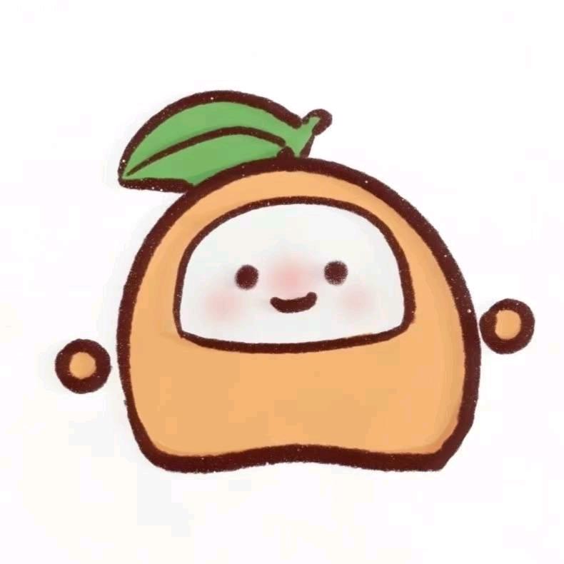 橙子🍊🍊🍊