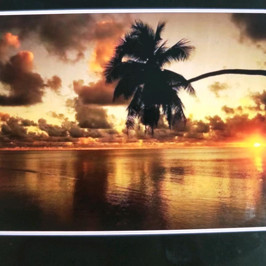 泰想说爱你来不及