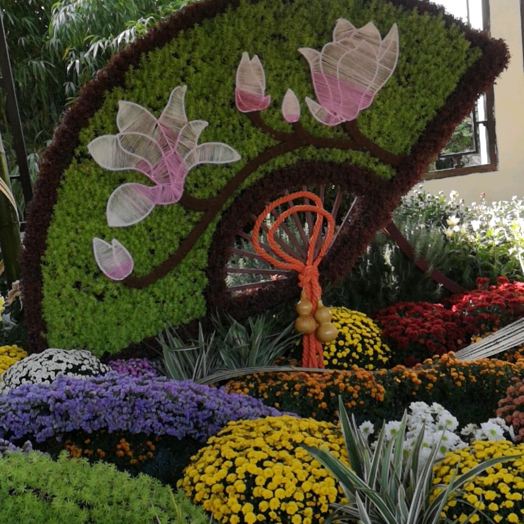 黄豆姐晚上九点左右开播