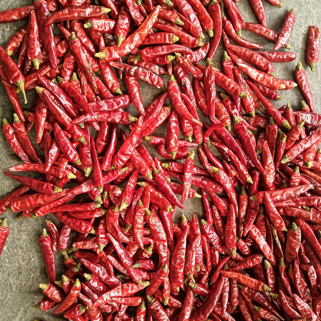辣椒批发小彭