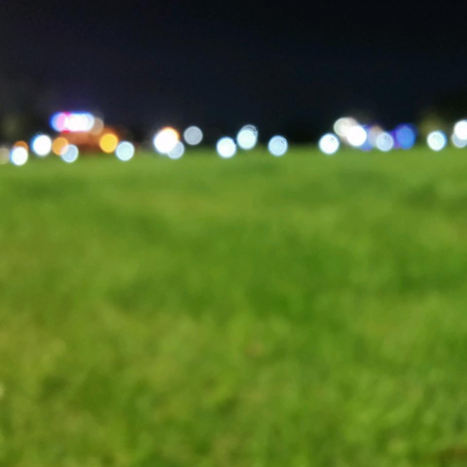 @荔子