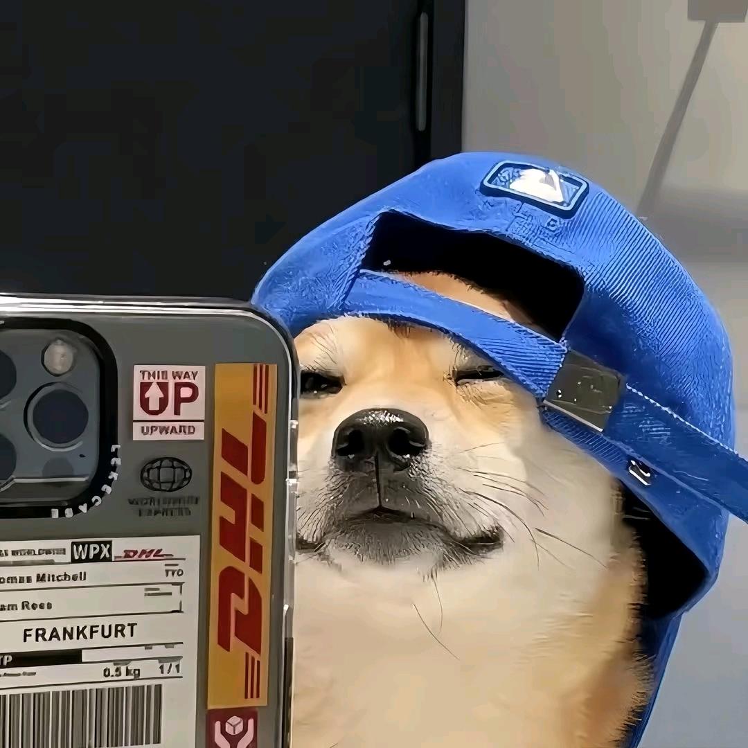 蜚零