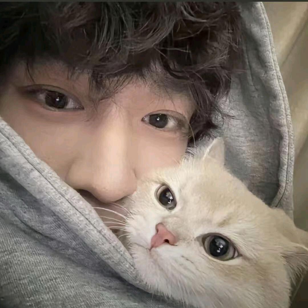 小辉剪辑（代剪）