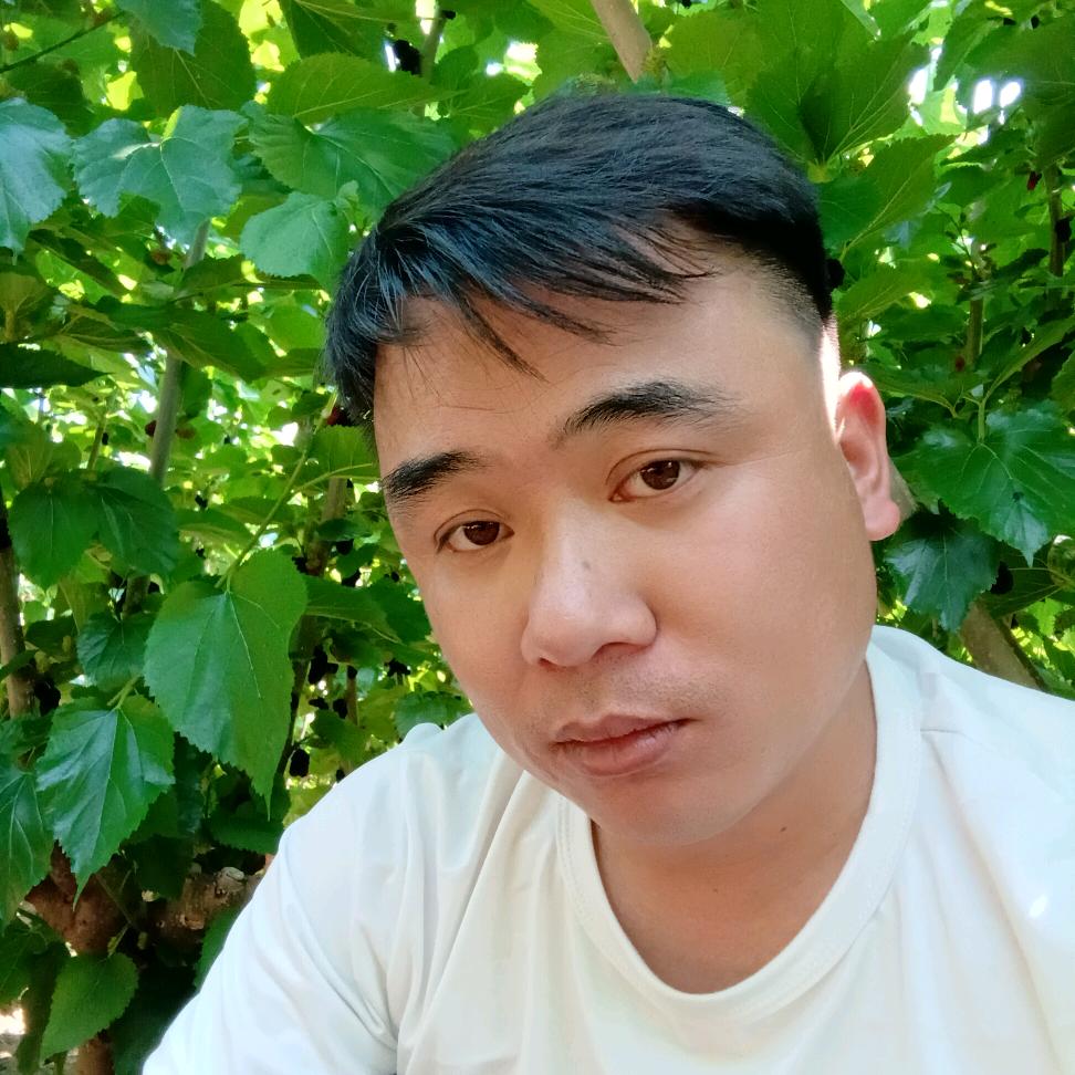 大飞。。，