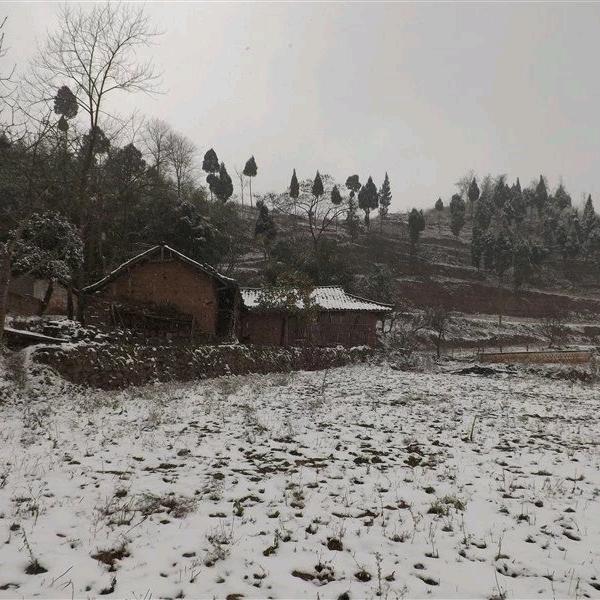 ༊ღ᭄白哥꧔ꦿ᭄