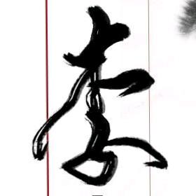 自在,如风