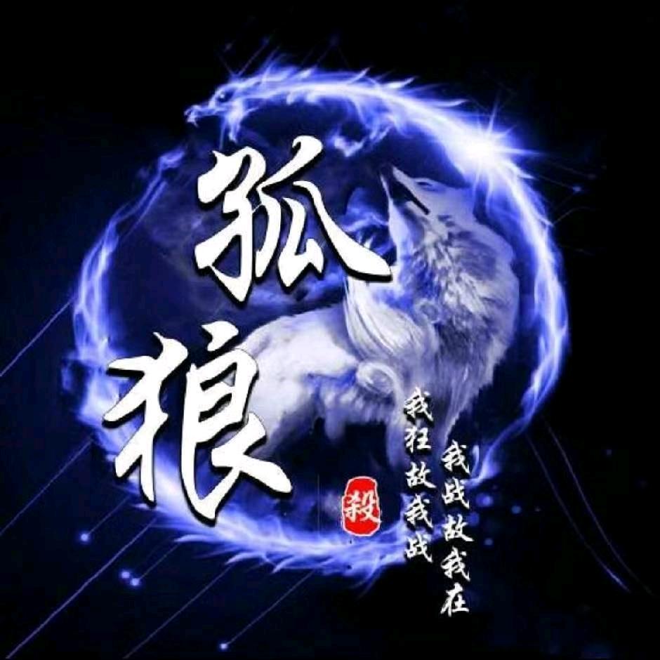 傲雪孤狼