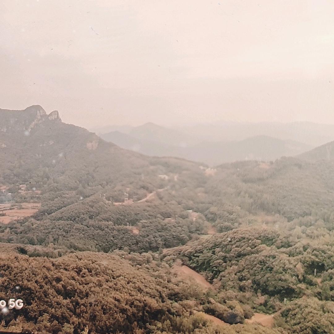 好运连连【娜姐】