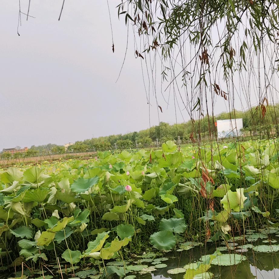 一览无遗做自己