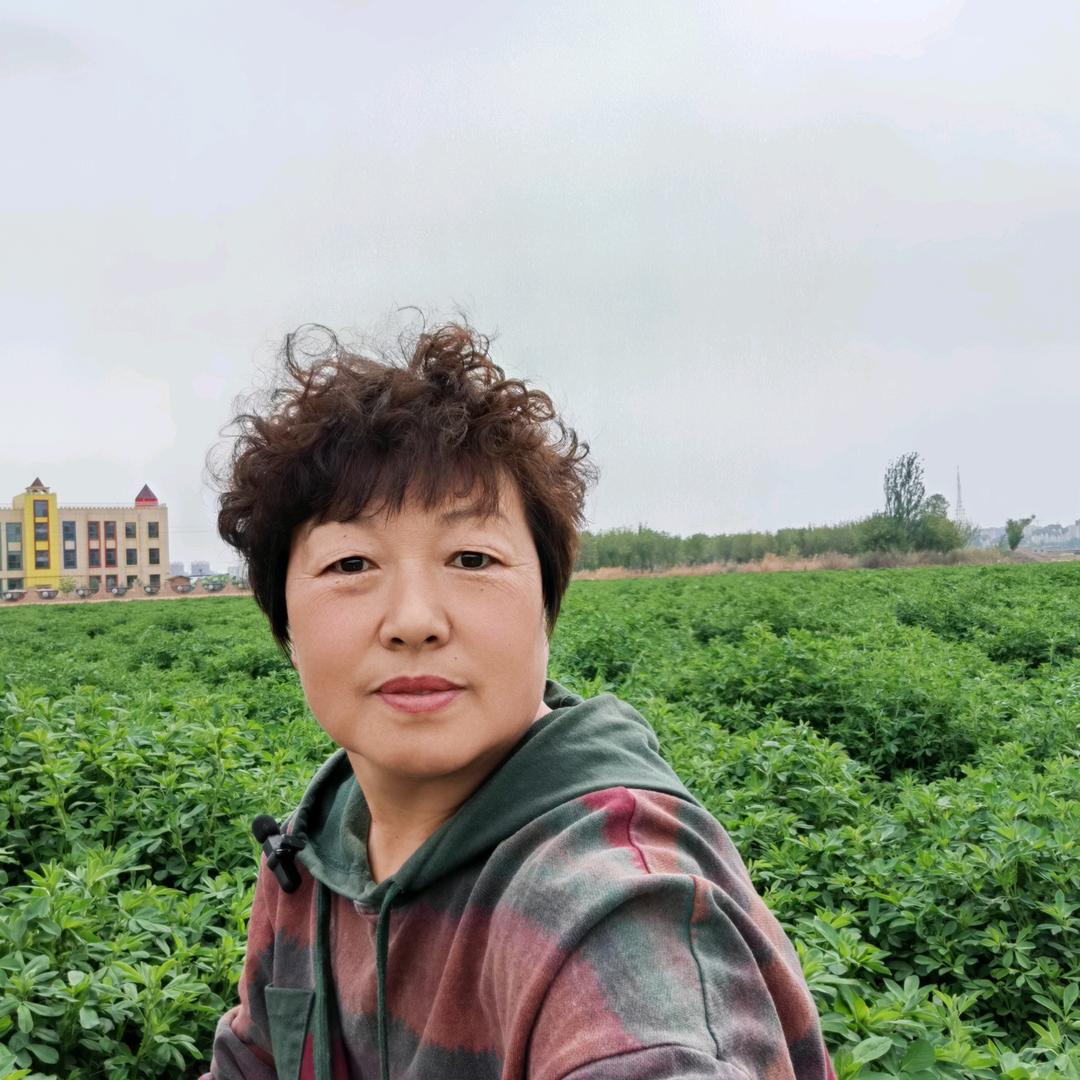 临河饲草张七毛17：20分播