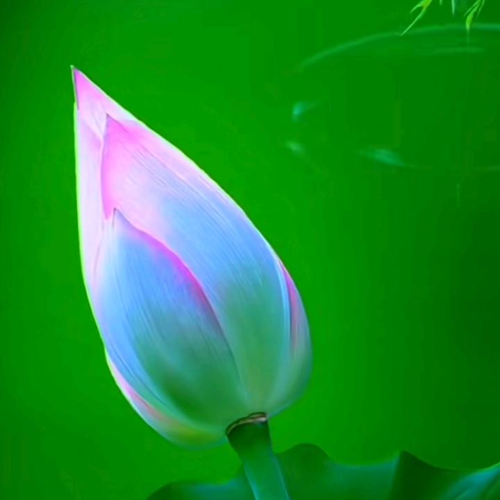 user87965小酒窝
