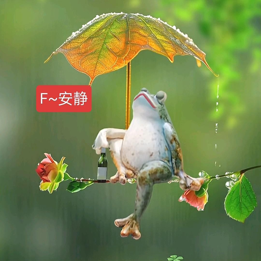 ω心宽🙏福来ω