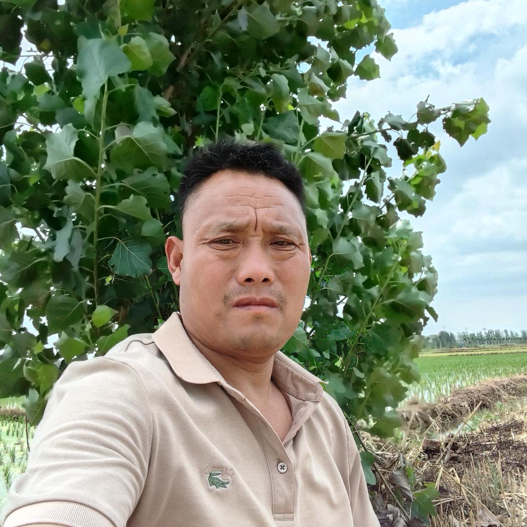 我就是我不一样的烟火