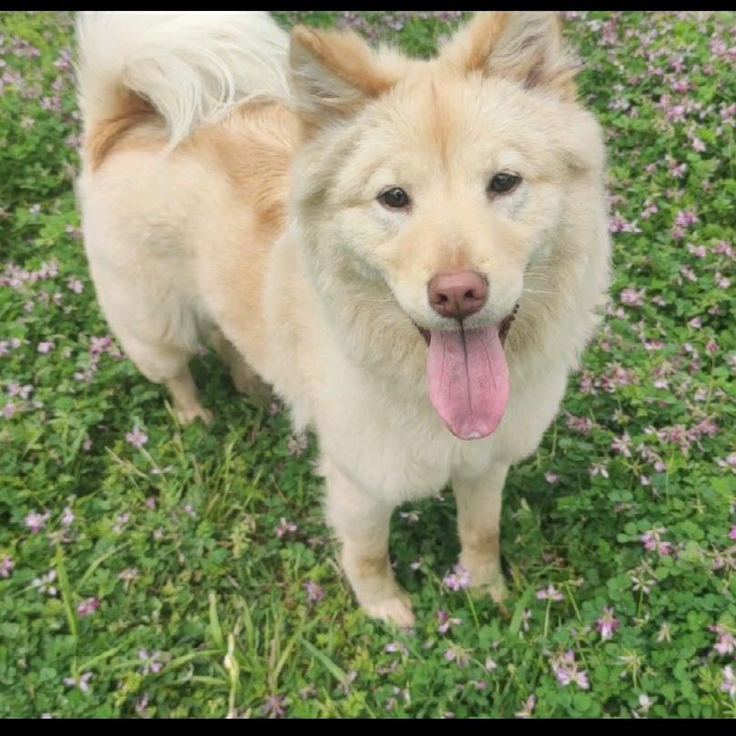 小不点啃胡萝卜🥕