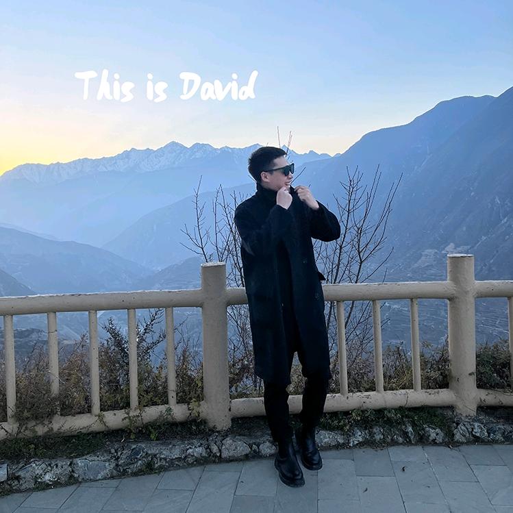 做室内装修的David