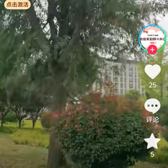 莹姐