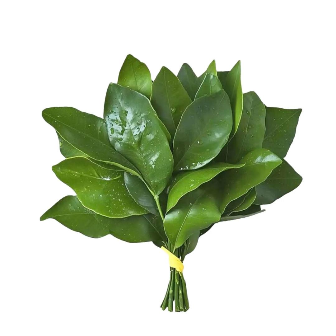 AAA男士内裤批发冉姐（集训中）