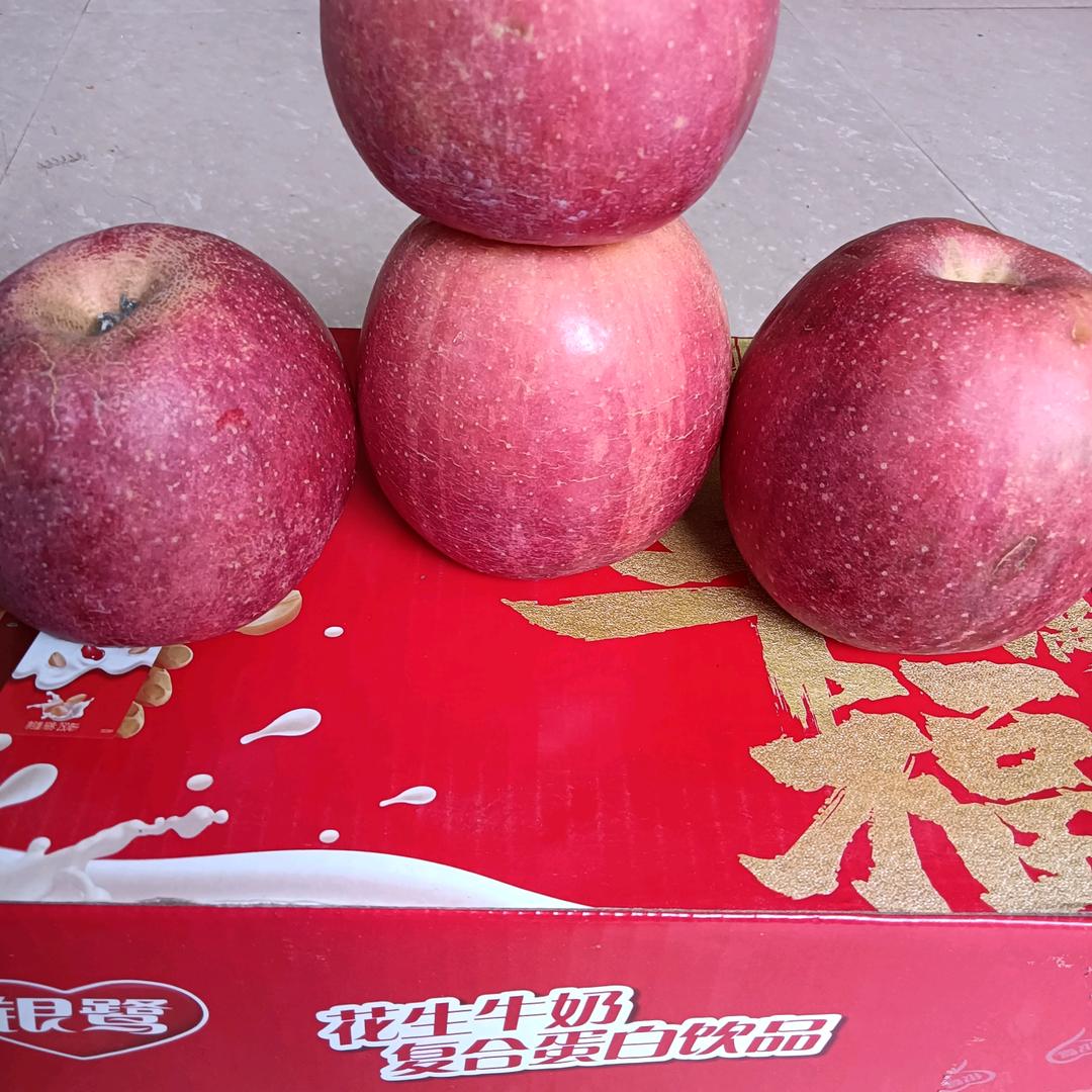 用户4543796567717