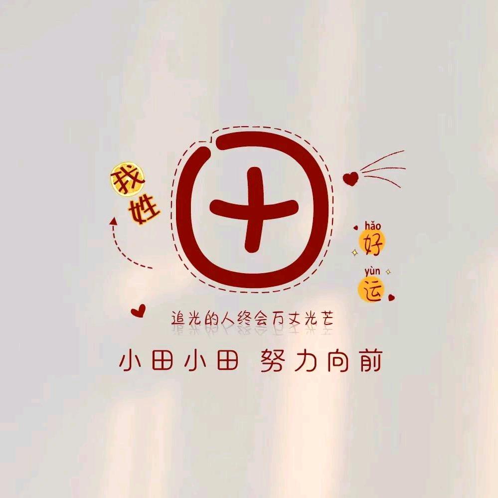 田某人