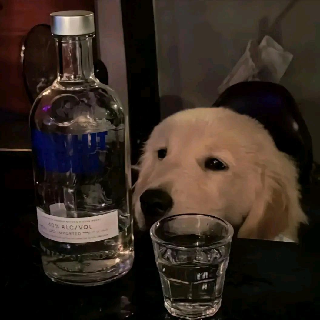 帅死🉐骆驼