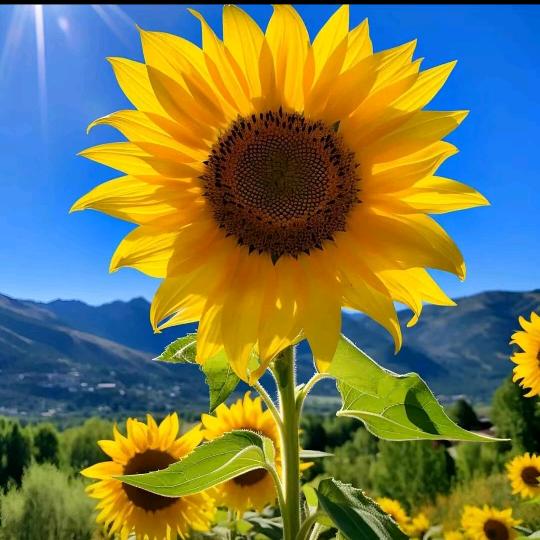 四季衣坊好物分享