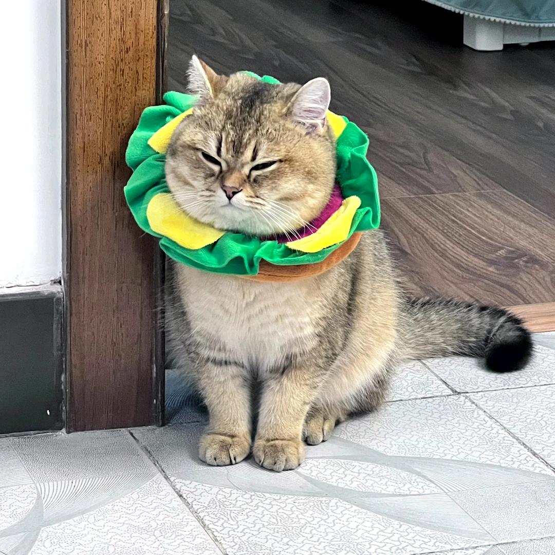 你真黑