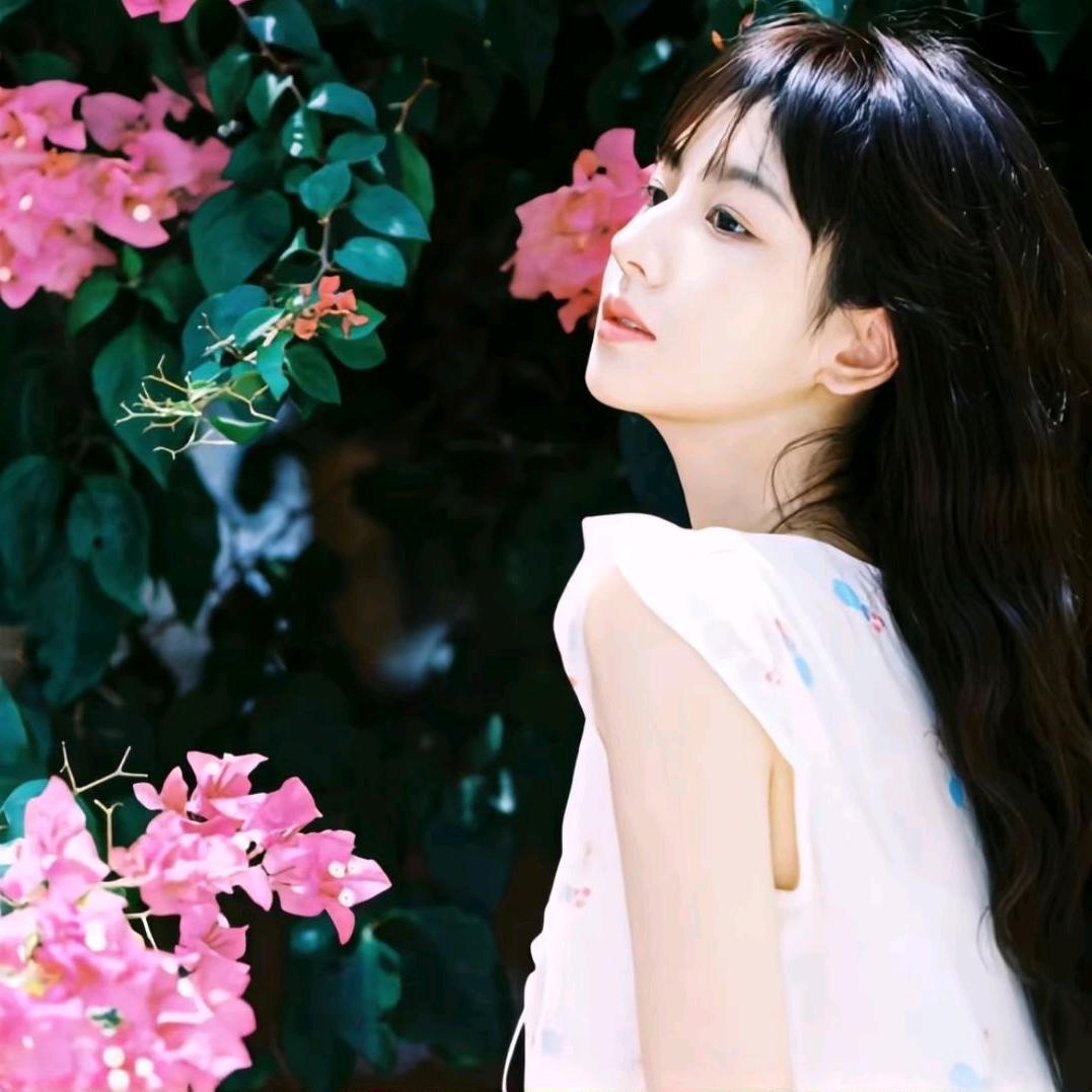 木槿