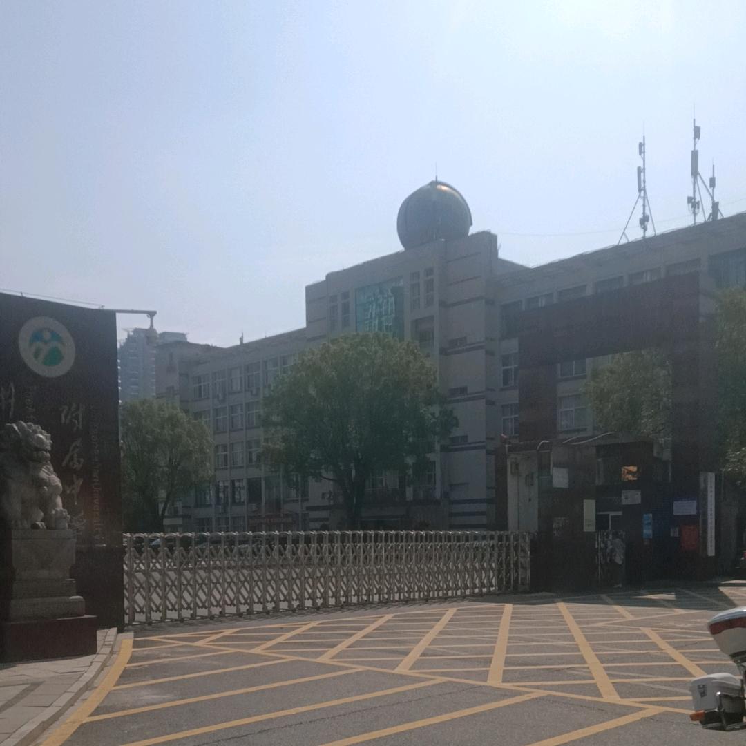槟榔总汇