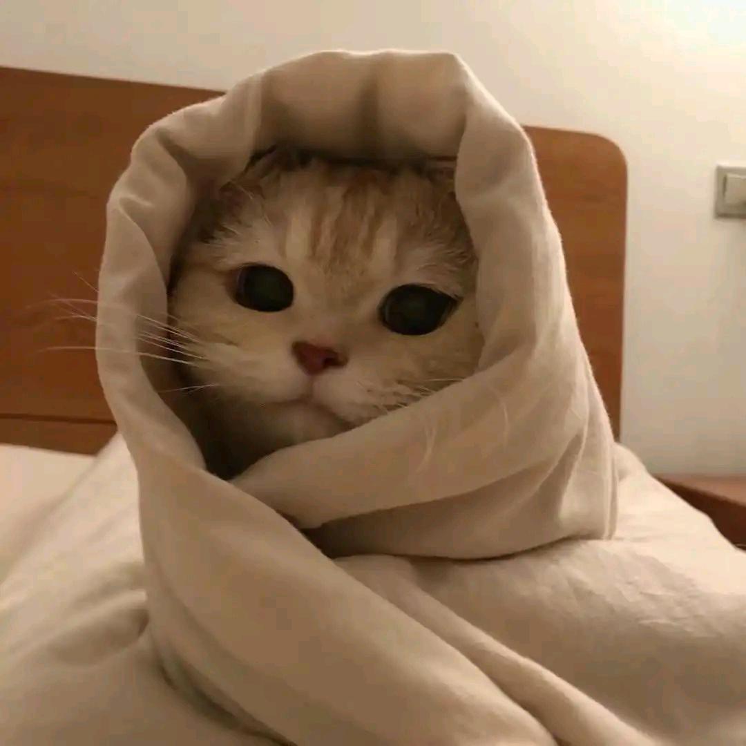 是你的没错