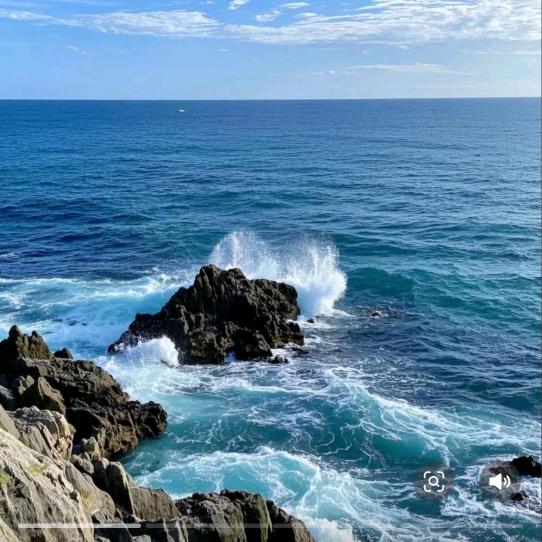 大海里的一滴泪