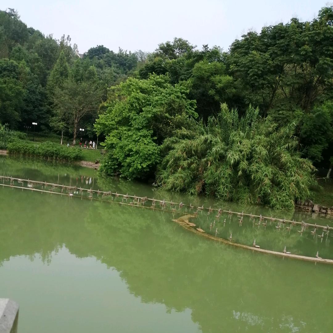 ...、无所谓 .”