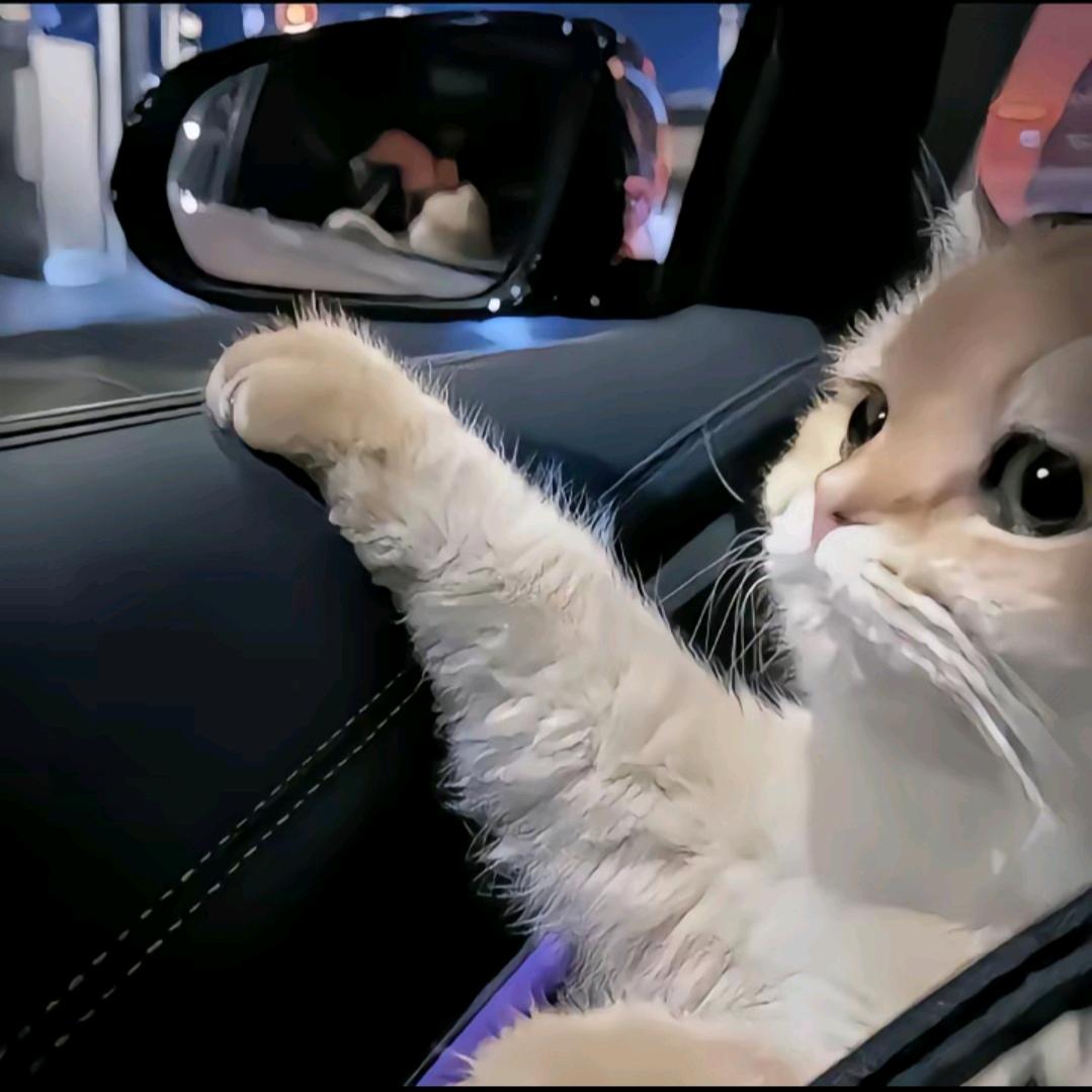 猪脚饭.
