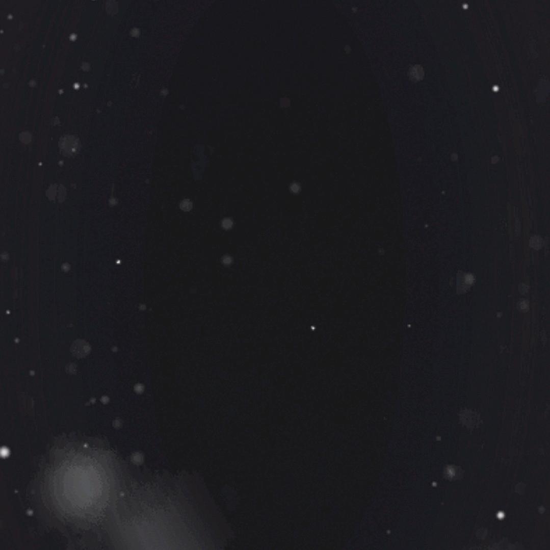 星梦梦