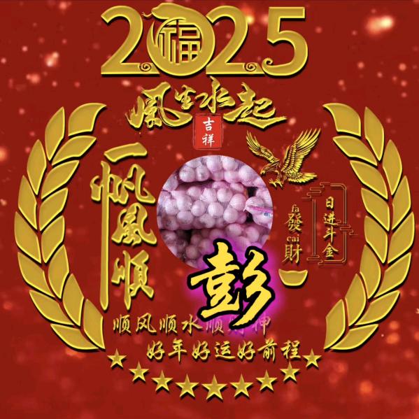 在阿克苏的安岳人