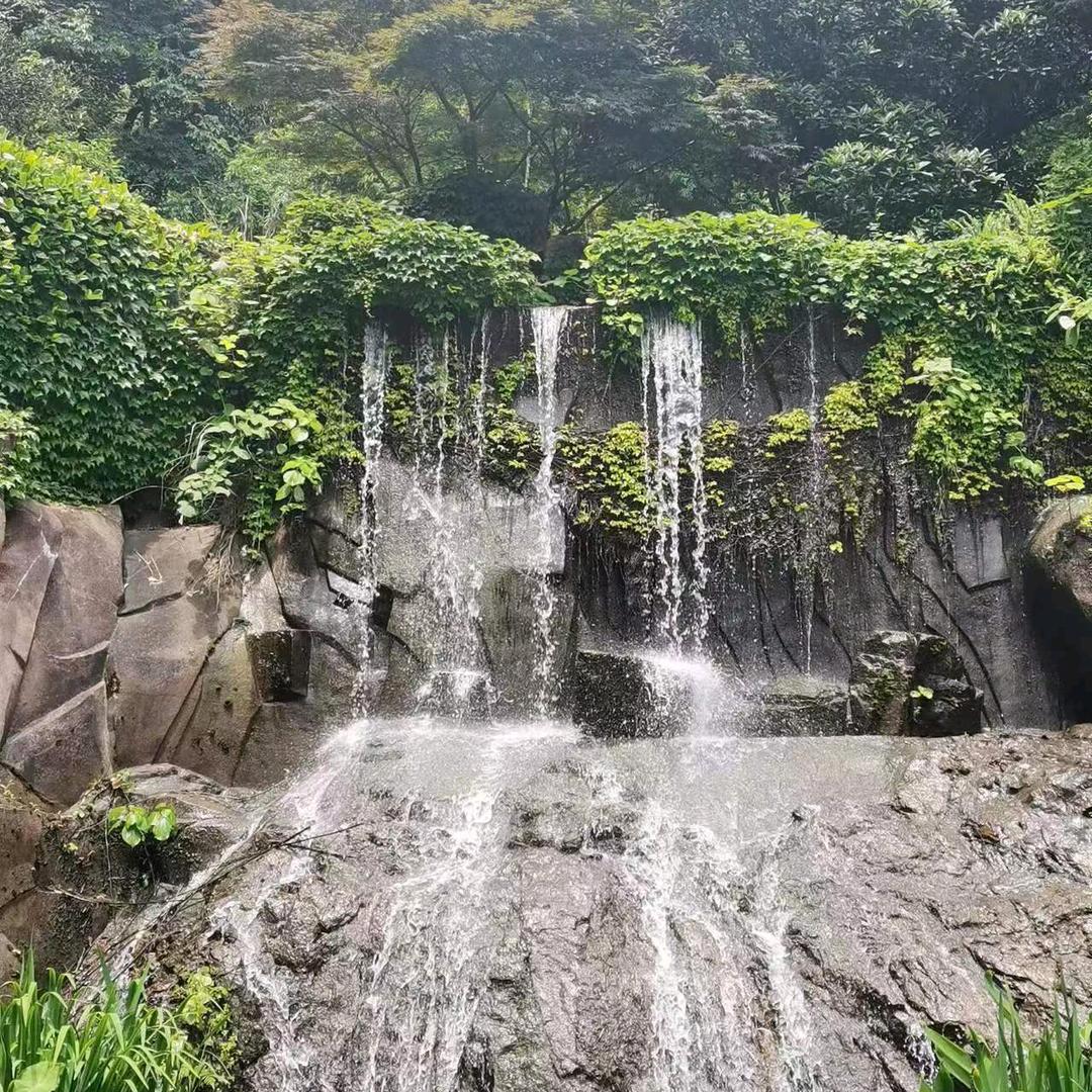 自由飞翔
