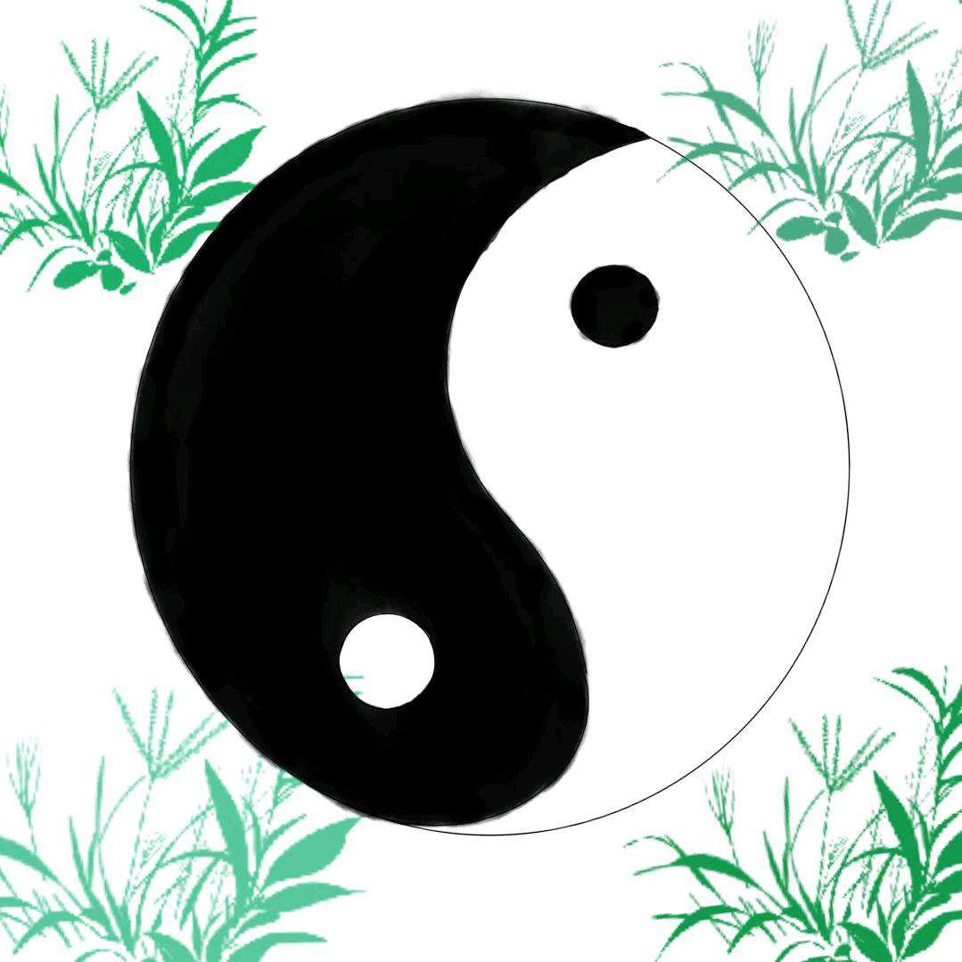 养生友记