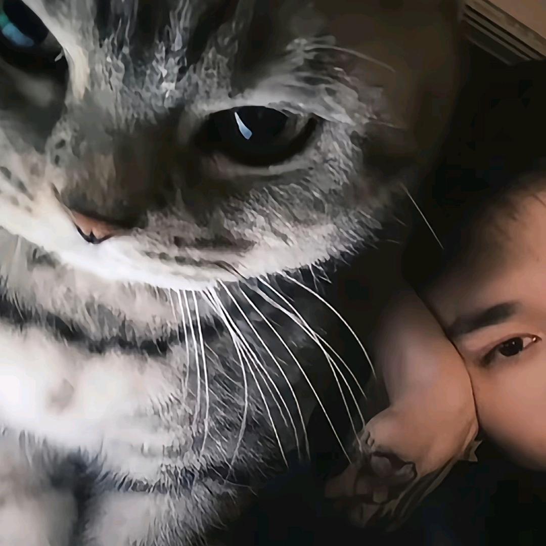 龙龙龙龙