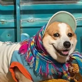 杨柳依依的碎碎念念