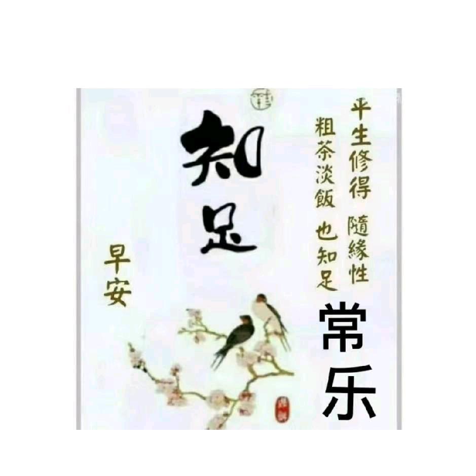 不老青松