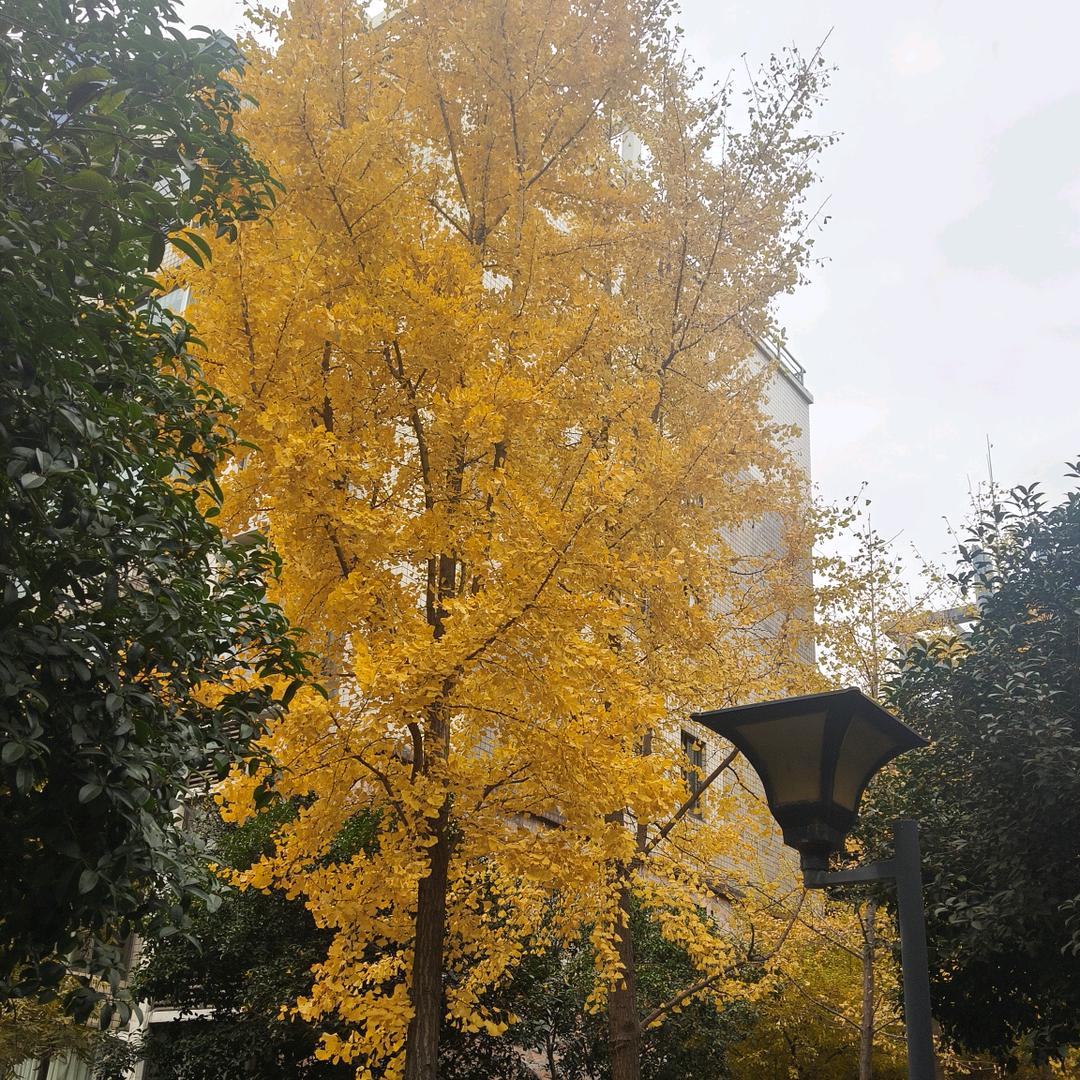 知足常乐（二姐）