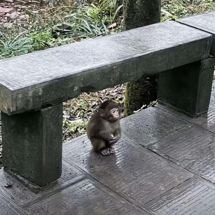 🌈如果你也听陈奕迅